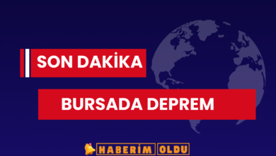 Bursa’da Korkutan Deprem! Vatandaşlar Panik Yaşadı